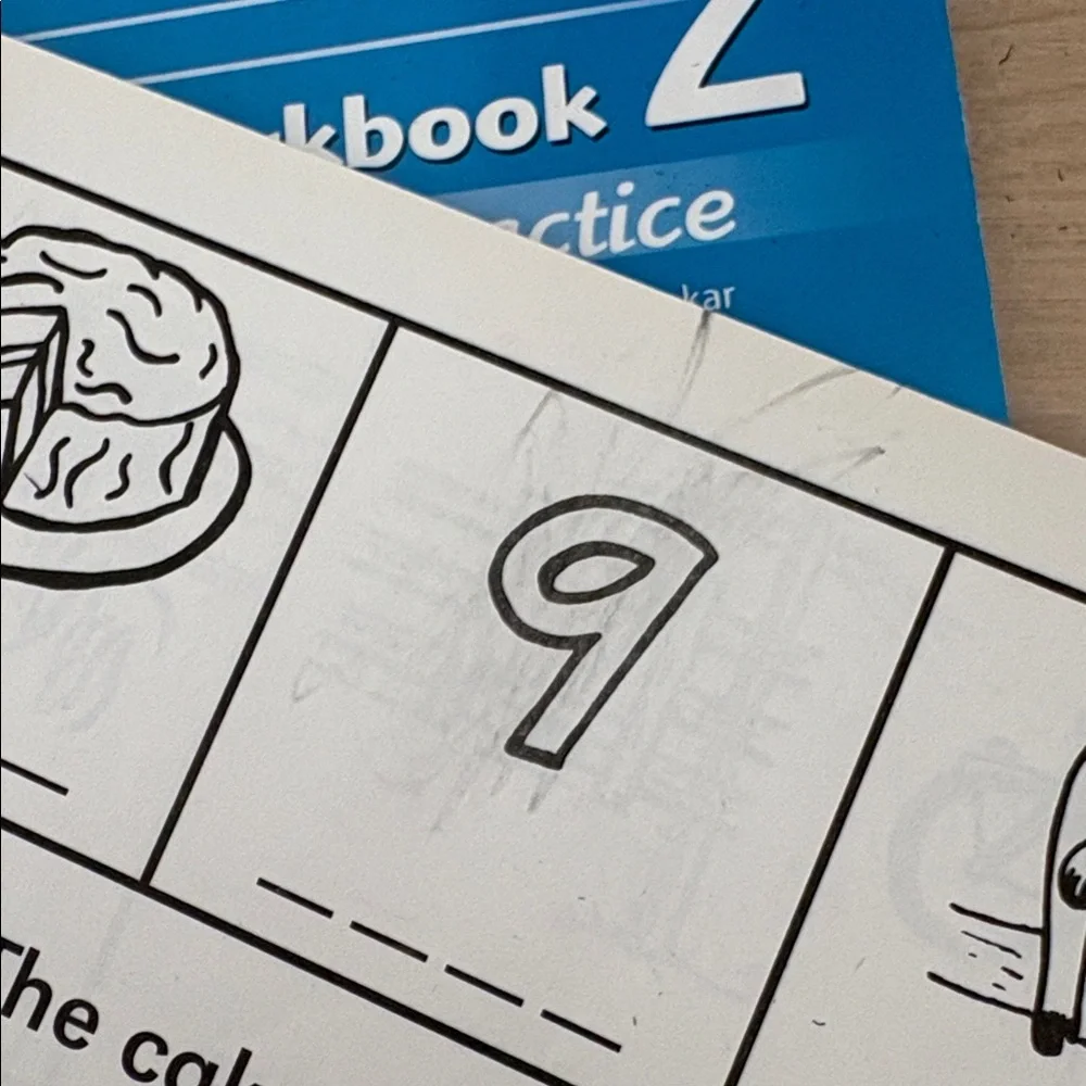 Primary Phonics Workbook 2  + Additional Practice - homeschool